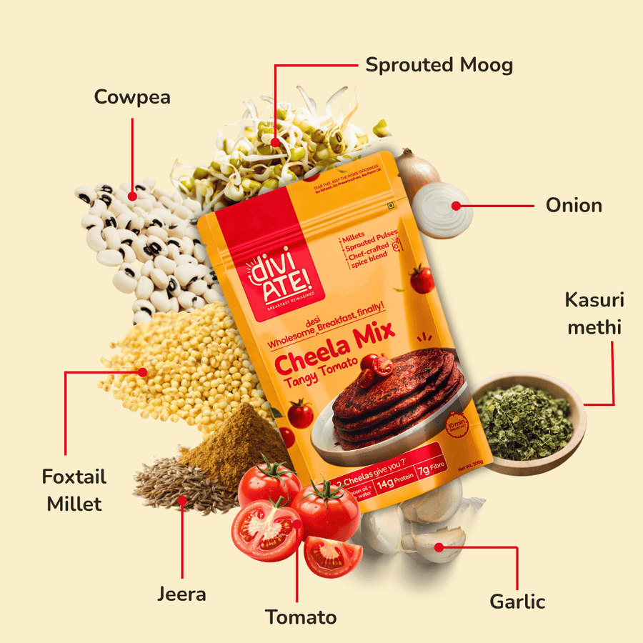 Tangy Tomato High Protein Cheela Mix
